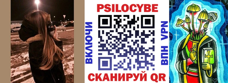 Псилоцибиновые грибы Psilocybine cubensis  Владикавказ 
